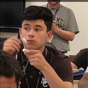 Meet your Posher, Damian